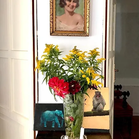 Medusa House Apartament