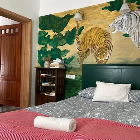 Apartament Medusa House