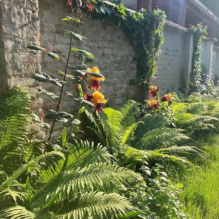 Medusa House Ostrzyhom